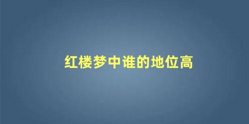 红楼梦中谁的地位高