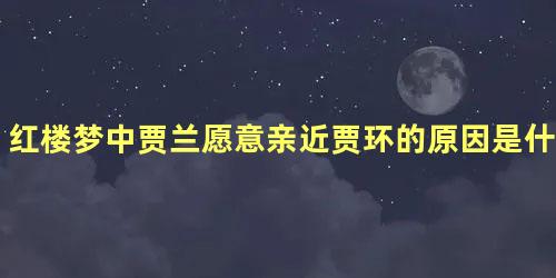 红楼梦中贾兰愿意亲近贾环的原因是什么