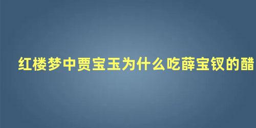 红楼梦中贾宝玉为什么吃薛宝钗的醋