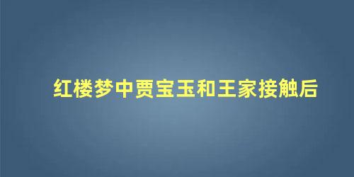 红楼梦中贾宝玉和王家接触后