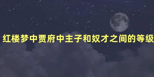 红楼梦中贾府中主子和奴才之间的等级差距有多大