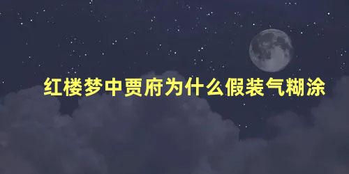 红楼梦中贾府为什么假装气糊涂