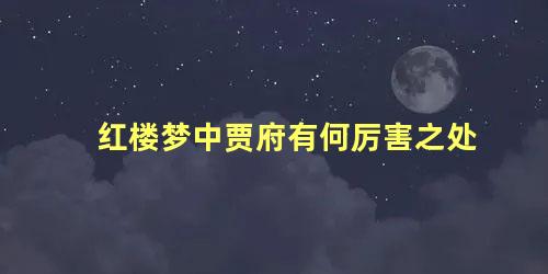 红楼梦中贾府有何厉害之处