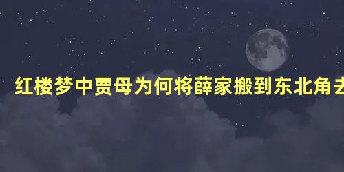 红楼梦中贾母为何将薛家搬到东北角去