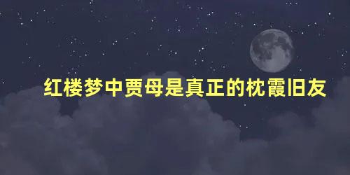 红楼梦中贾母是真正的枕霞旧友