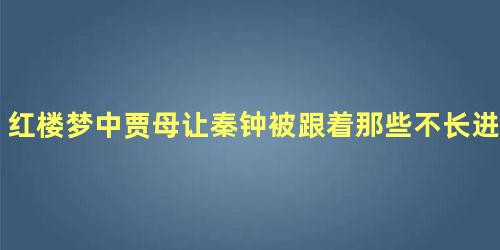 红楼梦中贾母让秦钟被跟着那些不长进的东西