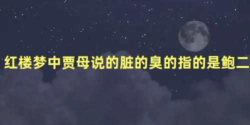 红楼梦中贾母说的脏的臭的指的是鲍二家的吗