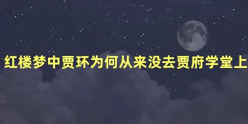 红楼梦中贾环为何从来没去贾府学堂上课