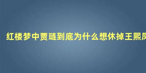 红楼梦中贾琏到底为什么想休掉王熙凤