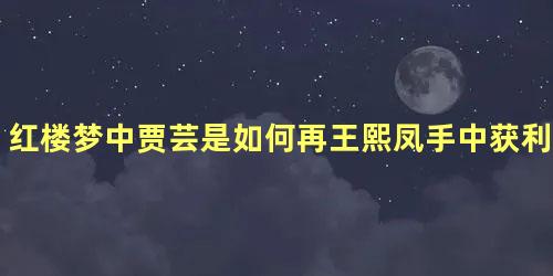 红楼梦中贾芸是如何再王熙凤手中获利的