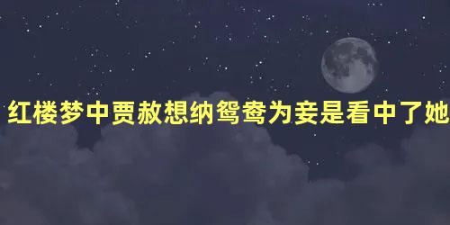 红楼梦中贾赦想纳鸳鸯为妾是看中了她什么