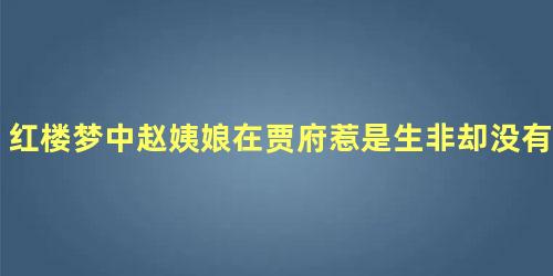 红楼梦中赵姨娘在贾府惹是生非却没有被撵