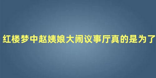 红楼梦中赵姨娘大闹议事厅真的是为了那二十两银子