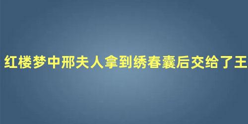 红楼梦中邢夫人拿到绣春囊后交给了王夫人是因为什么