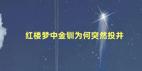 红楼梦中金钏为何突然投井