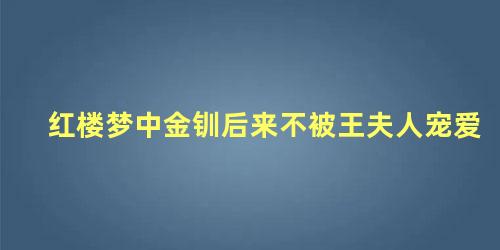 红楼梦中金钏后来不被王夫人宠爱