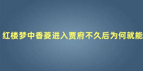 红楼梦中香菱进入贾府不久后为何就能开始读诗了