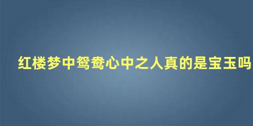 红楼梦中鸳鸯心中之人真的是宝玉吗