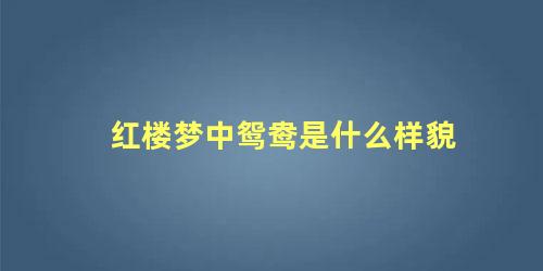 红楼梦中鸳鸯是什么样貌