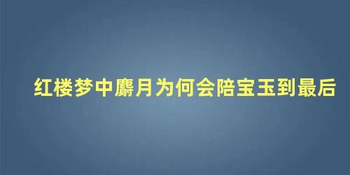 红楼梦中麝月为何会陪宝玉到最后