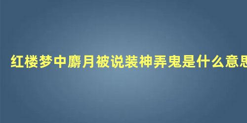 红楼梦中麝月被说装神弄鬼是什么意思