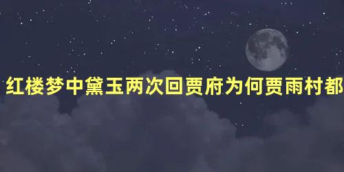 红楼梦中黛玉两次回贾府为何贾雨村都陪同