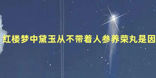 红楼梦中黛玉从不带着人参养荣丸是因为什么