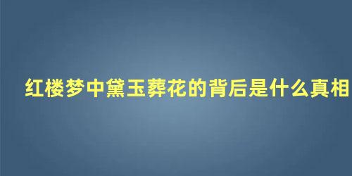 红楼梦中黛玉葬花的背后是什么真相