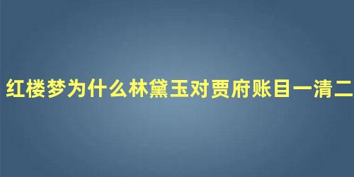 红楼梦为什么林黛玉对贾府账目一清二楚