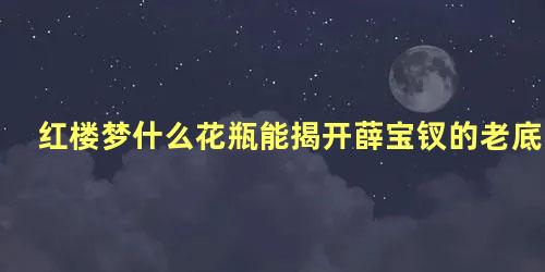 红楼梦什么花瓶能揭开薛宝钗的老底