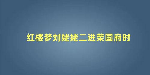 红楼梦刘姥姥二进荣国府时