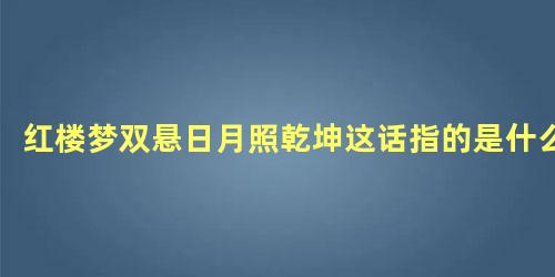 红楼梦双悬日月照乾坤这话指的是什么