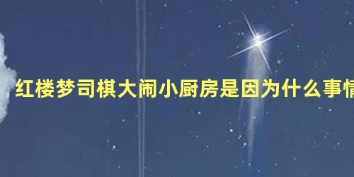 红楼梦司棋大闹小厨房是因为什么事情