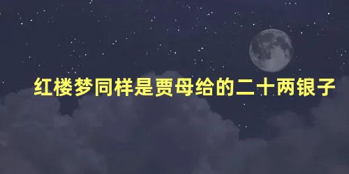 红楼梦同样是贾母给的二十两银子