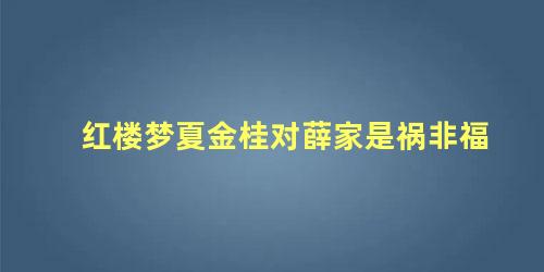 红楼梦夏金桂对薛家是祸非福