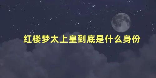 红楼梦太上皇到底是什么身份