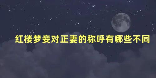 红楼梦妾对正妻的称呼有哪些不同