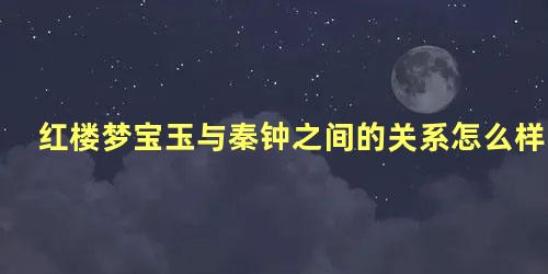 红楼梦宝玉与秦钟之间的关系怎么样