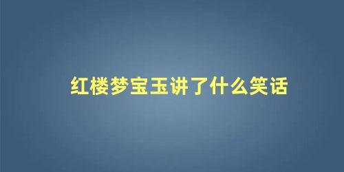 红楼梦宝玉讲了什么笑话