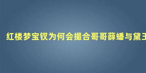 红楼梦宝钗为何会撮合哥哥薛蟠与黛玉