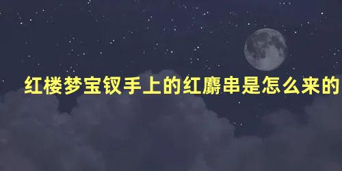 红楼梦宝钗手上的红麝串是怎么来的