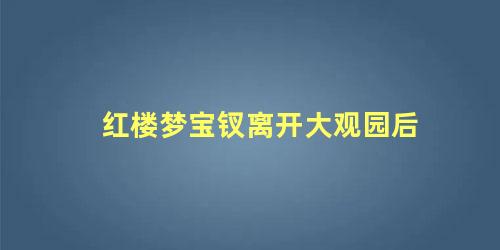 红楼梦宝钗离开大观园后