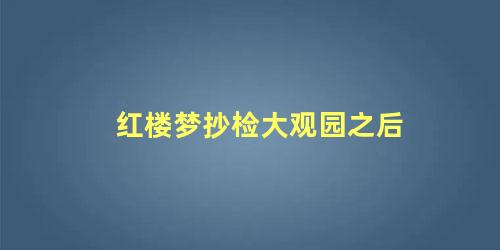 红楼梦抄检大观园之后