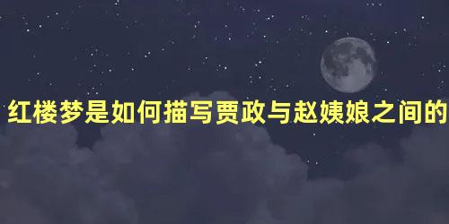 红楼梦是如何描写贾政与赵姨娘之间的感情的