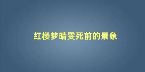 红楼梦晴雯死前的景象