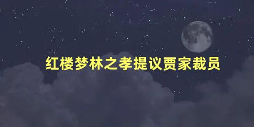 红楼梦林之孝提议贾家裁员