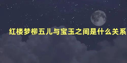 红楼梦柳五儿与宝玉之间是什么关系