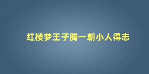 红楼梦王子腾一朝小人得志