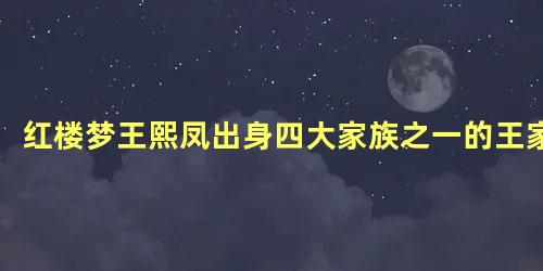 红楼梦王熙凤出身四大家族之一的王家