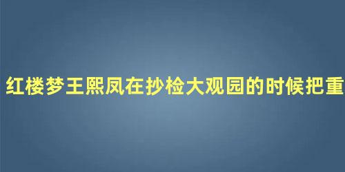 红楼梦王熙凤在抄检大观园的时候把重点放在谁的身上了